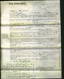 Court of Common Pleas - Elizabeth Hutton-Original Ancestry