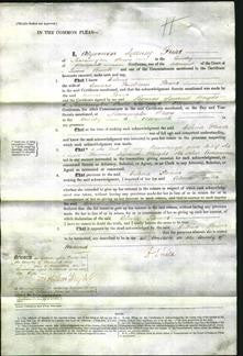 Court of Common Pleas - Celina Flower #7-Original Ancestry