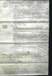 Court of Common Pleas - Ann Elizabeth Musselwhite-Original Ancestry