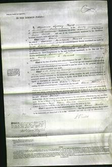 Court of Common Pleas - Celina Flower #8-Original Ancestry