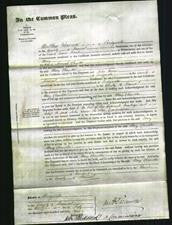 Court of Common Pleas - Mary Chandler-Original Ancestry