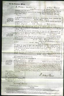 Court of Common Pleas - Mary Rogers-Original Ancestry