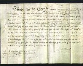 Deed by Married Women - Rachel Taylor-Original Ancestry