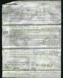 Court of Common Pleas - Frances Turner-Original Ancestry