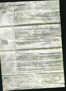 Court of Common Pleas - Anne Sheard-Original Ancestry