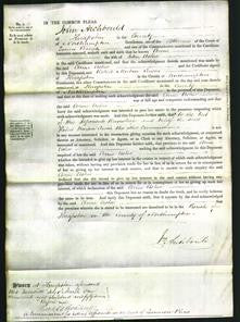 Court of Common Pleas - Anne Usher-Original Ancestry