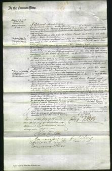 Court of Common Pleas - Anne Everett, Jane Willingham-Original Ancestry