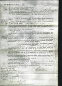 Court of Common Pleas - Sarah Adohead Emley-Original Ancestry