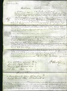 Court of Common Pleas - Esther Spencer and Nancy Myers-Original Ancestry