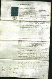 Court of Common Pleas - Sarah Stevenson-Original Ancestry
