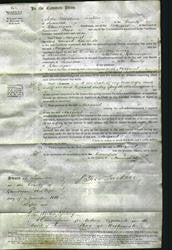 Court of Common Pleas - Margaret Edwards-Original Ancestry