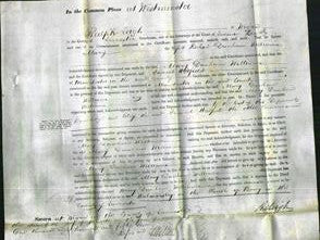 Court of Common Pleas - Mary Williams-Original Ancestry