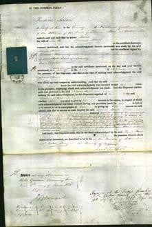 Court of Common Pleas - Maria Hunt-Original Ancestry