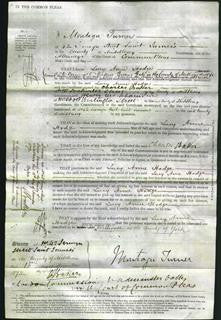 Court of Common Pleas - Lucy Ann Hodge-Original Ancestry