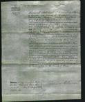 Court of Common Pleas - Mary Ann Nation-Original Ancestry