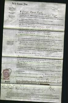 Court of Common Pleas - Mary Ann Downey-Original Ancestry