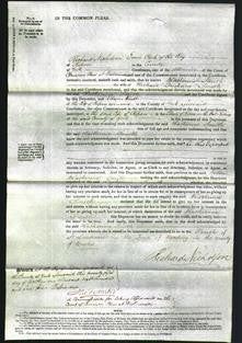 Court of Common Pleas - Katherine Smith-Original Ancestry