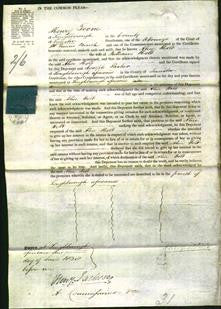 Court of Common Pleas - Alice Holt-Original Ancestry