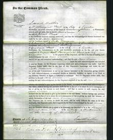 Court of Common Pleas - Ann Louisa Bratt-Original Ancestry