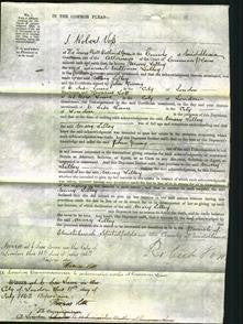 Court of Common Pleas - Mary Lilley-Original Ancestry