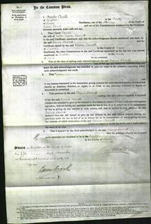 Court of Common Pleas - Rosina Bennett-Original Ancestry