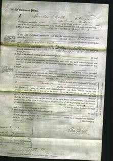 Court of Common Pleas - Ann Wood-Original Ancestry