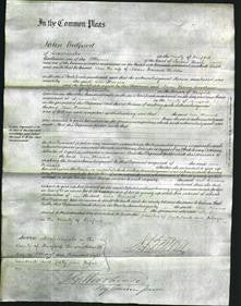 Court of Common Pleas - Ann Howard-Original Ancestry