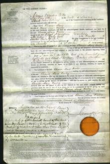 Court of Common Pleas - Eleanor Mary Henley-Original Ancestry