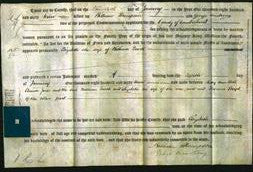 Deed by Married Women - Eliabeth Luvik-Original Ancestry