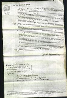Court of Common Pleas - Susanna Baker-Original Ancestry