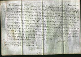 Court of Common Pleas - Jane Clarke-Original Ancestry