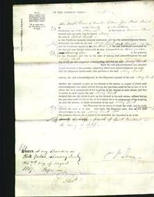 Court of Common Pleas - Mary Buck-Original Ancestry