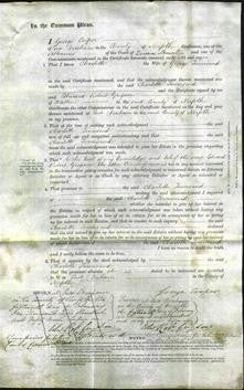 Court of Common Pleas - Charlotte Townsend-Original Ancestry