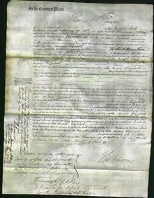 Court of Common Pleas - Elizabeth Peirson-Original Ancestry