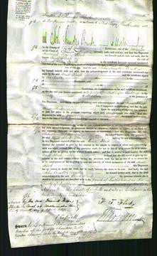 Court of common Pleas - Anne Flack-Original Ancestry