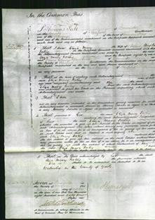 Court of Common Pleas - Eliza Mary Forley-Original Ancestry