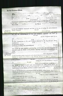 Court of Common Pleas - Ellen Linton-Original Ancestry