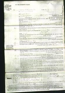 Court of Common Pleas - Louisa Clay-Original Ancestry