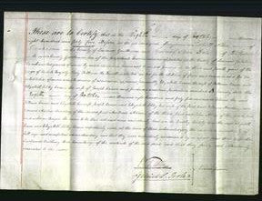 Deed by Married Women - Elizabeth Crane and Elizabeth Sibley Crane-Original Ancestry