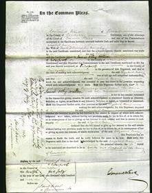 Court of Common Pleas - Elizabeth Mary Murphy-Original Ancestry