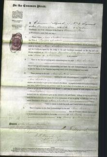 Court of Common Pleas - Ann Judkins-Original Ancestry