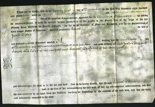 Deed by Married Women - Sarah Potter-Original Ancestry