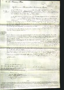 Court of Common Pleas - Sarah Potter-Original Ancestry