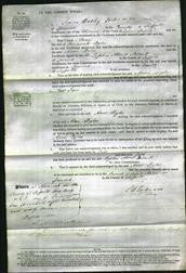 Court of Common Pleas - Anne Byles-Original Ancestry