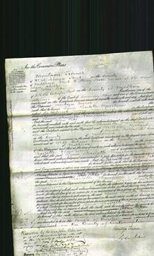 Court of Common Pleas - Dame Charlotte Murchison-Original Ancestry