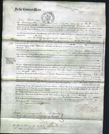 Court of Common Pleas - Ellen Brown-Original Ancestry