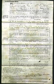 Court of Common Pleas - Frances Lagier-Original Ancestry