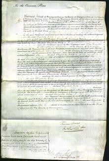 Court of Common Pleas - Elizabeth Felix-Original Ancestry