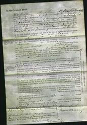 Court of Common Pleas - Naomi Thomas-Original Ancestry