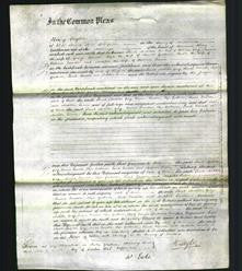 Court of Common Pleas- Sarah Matilda Gray, Emma Dawson, Eliza Graham, Sarah Dawson and Matilda Lewin-Original Ancestry